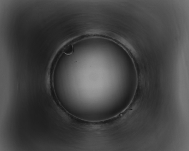 X0000100410976200806061338