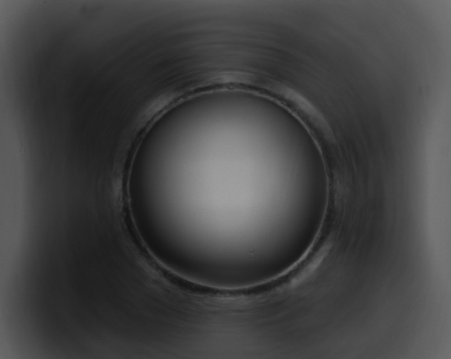 X0000100410977200806061338