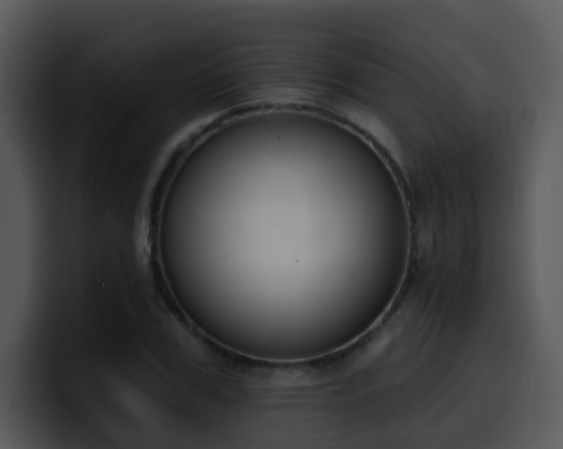 X0000100410979200806061338