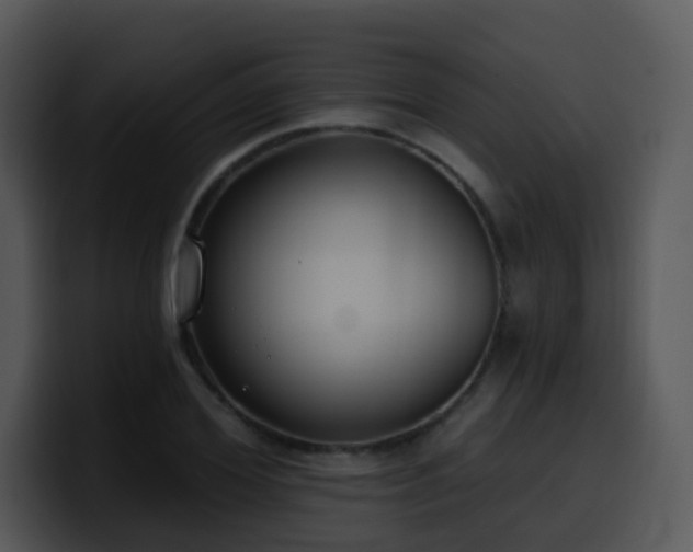 X0000100410980200806061338