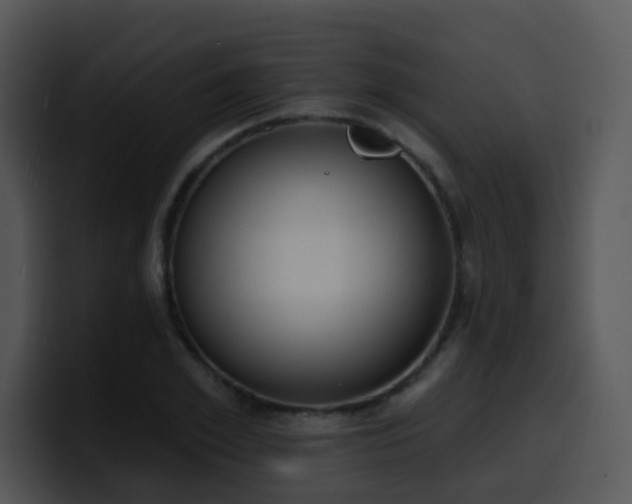 X0000100410981200806061338