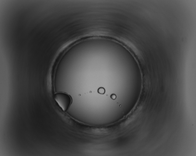 X0000100410982200806061338