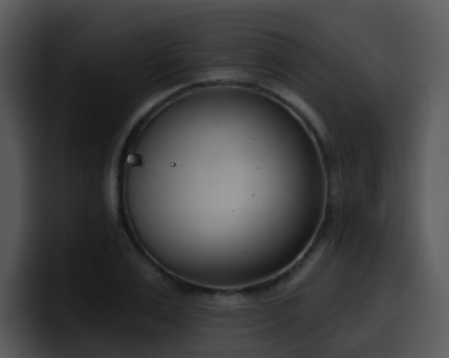 X0000100410983200806061338