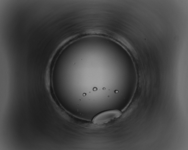 X0000100410984200806061338