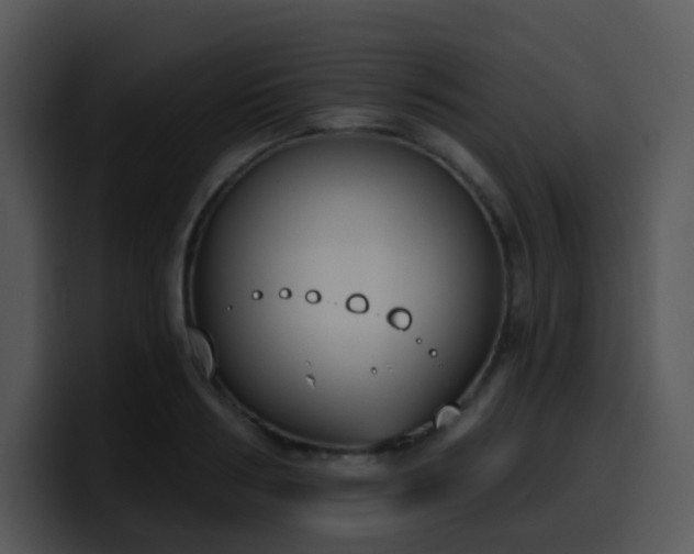 X0000100410986200806061338