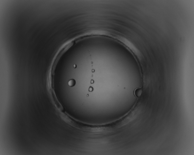 X0000100410988200806061338