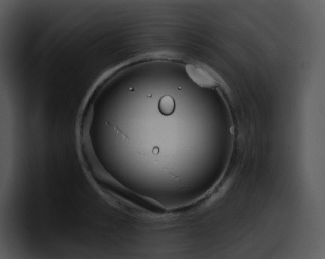 X0000100410989200806061338