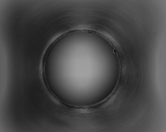 X0000100410990200806061338