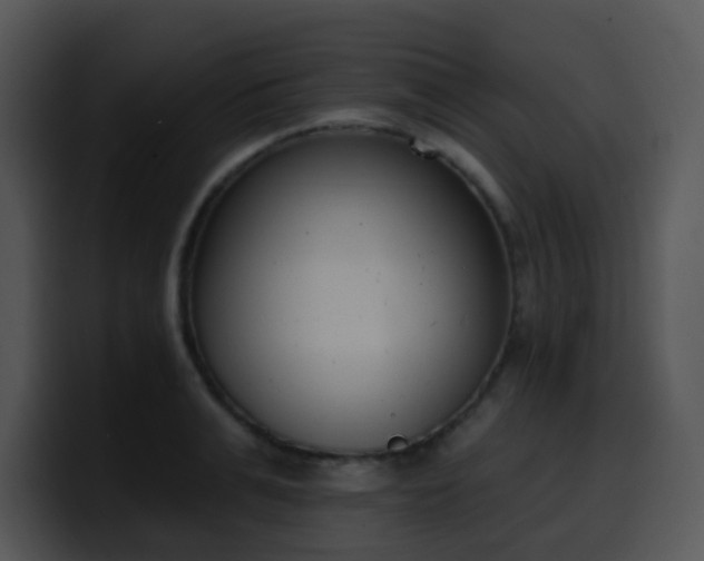 X0000100410991200806061338