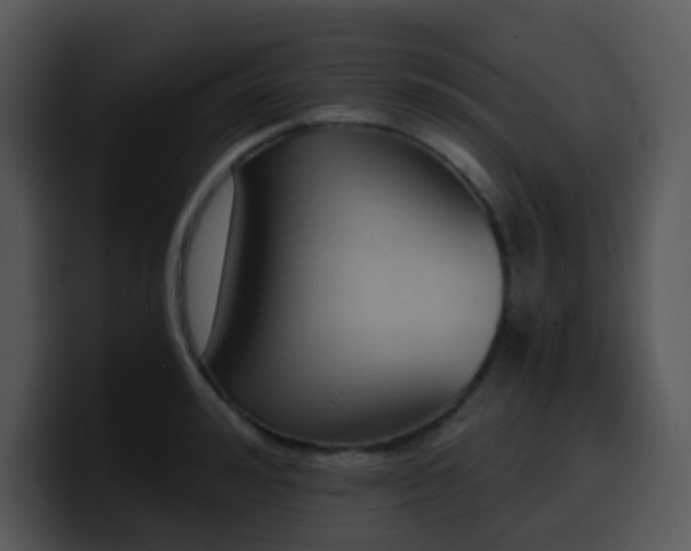 X0000100410992200806061338