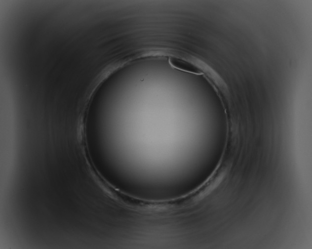 X0000100410993200806061338