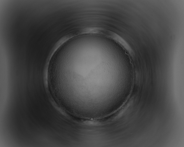 X0000100410994200806061338