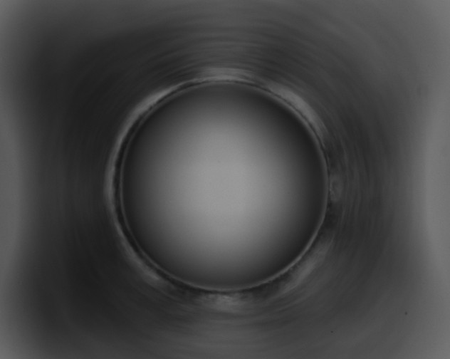 X0000100410995200806061338