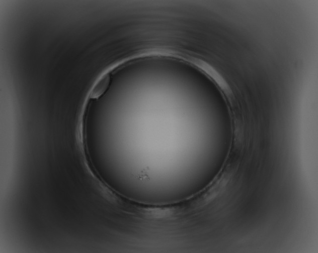 X0000100410996200806061338