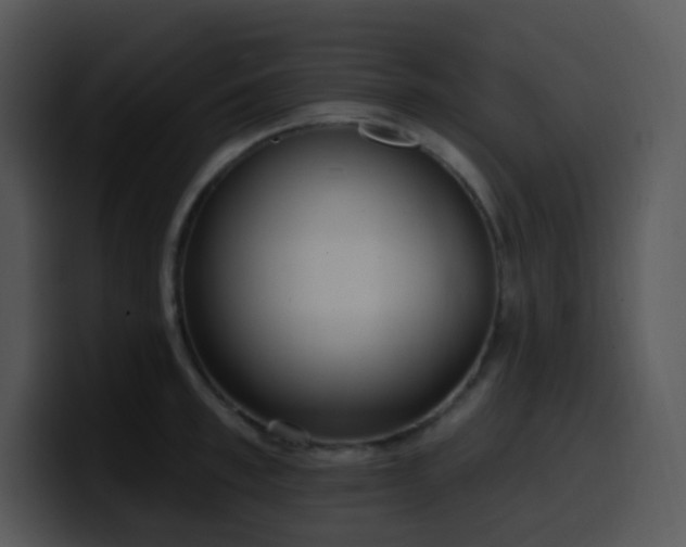 X0000100410997200806061338