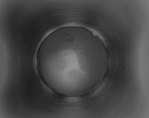 X0000100410998200806061338