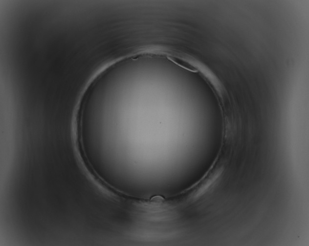 X0000100410999200806061338