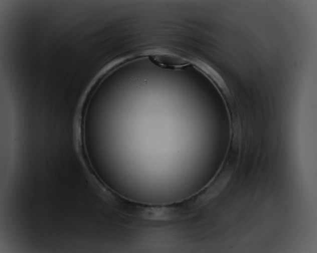 X0000100411000200806061338