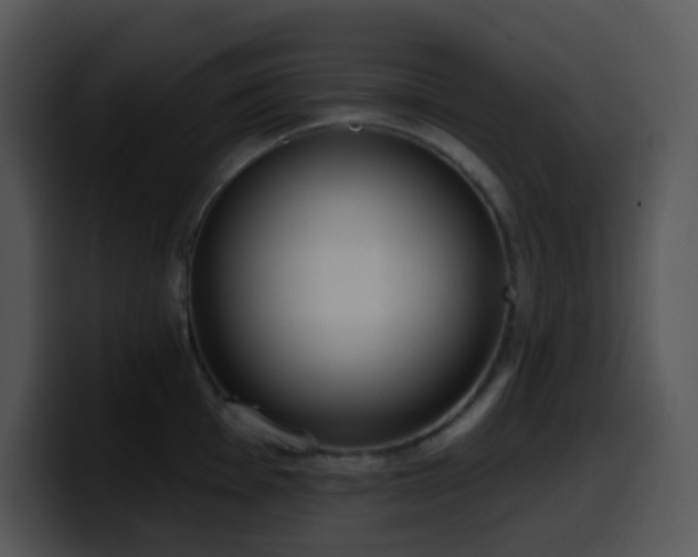 X0000100411001200806061337