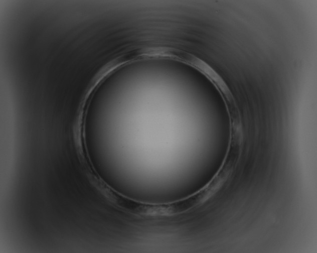 X0000100411002200806061337