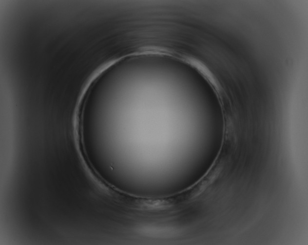 X0000100411003200806061337