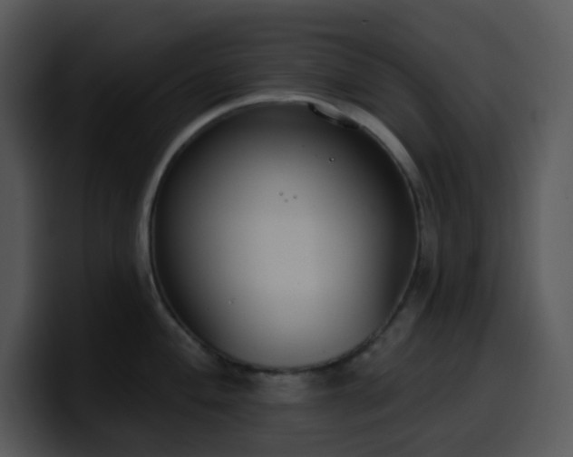 X0000100411004200806061337