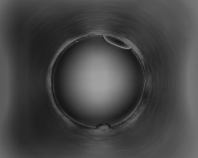 X0000100411005200806061337