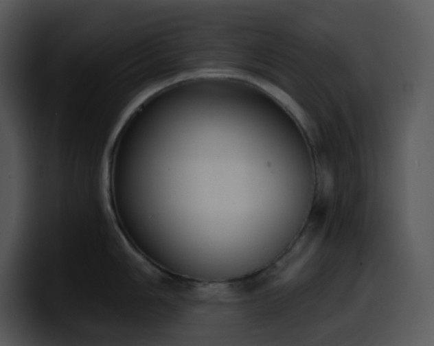 X0000100411006200806061337