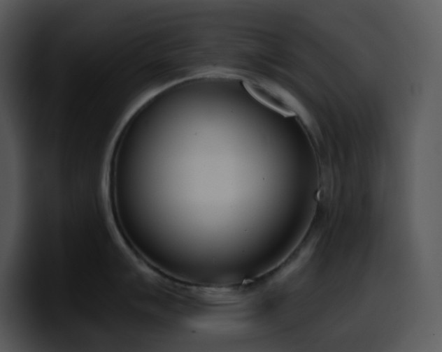 X0000100411007200806061337