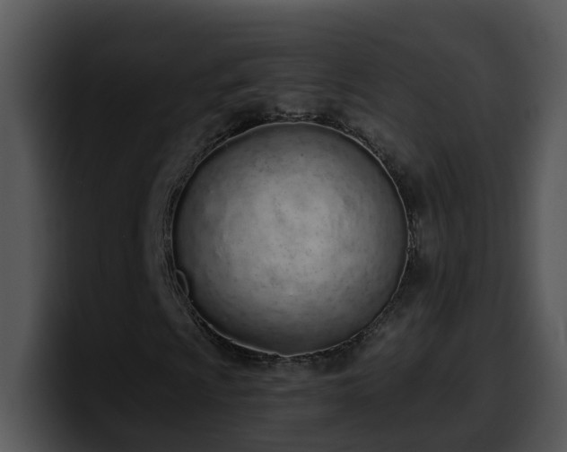 X0000100411009200806061337