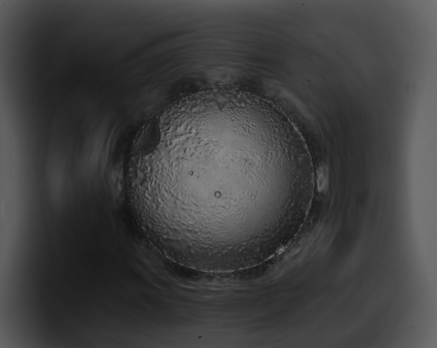 X0000100411011200806061337