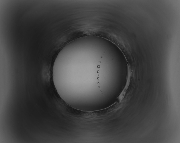 X0000100411012200806061337