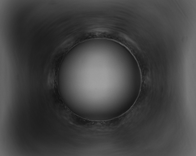 X0000100411014200806061337