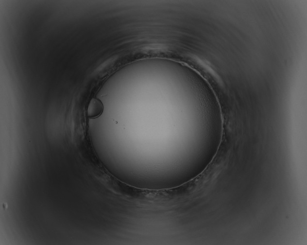 X0000100411015200806061337