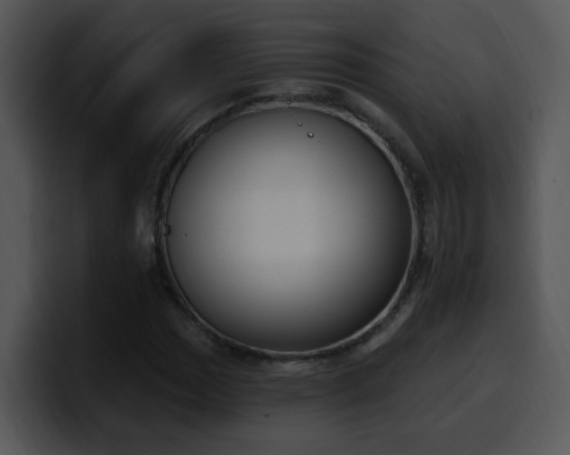 X0000100411017200806061337