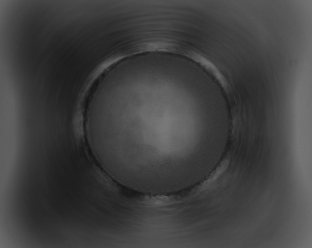 X0000100411019200806061337