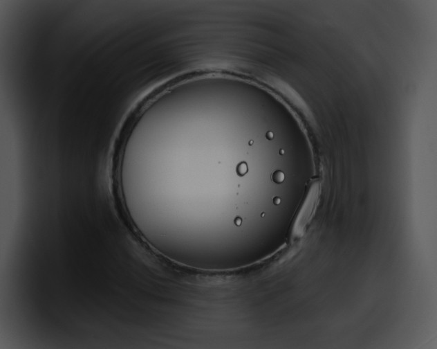 X0000100411020200806061337