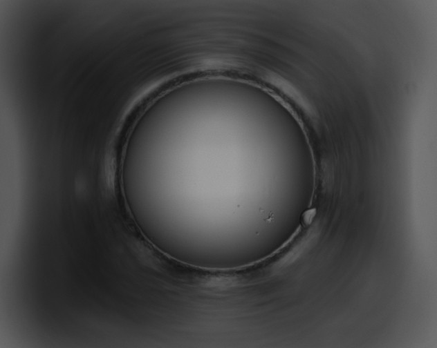 X0000100411021200806061337