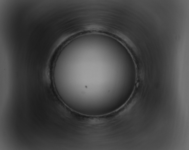 X0000100411022200806061337