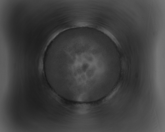 X0000100411023200806061337