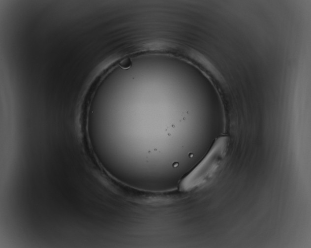 X0000100411026200806061337