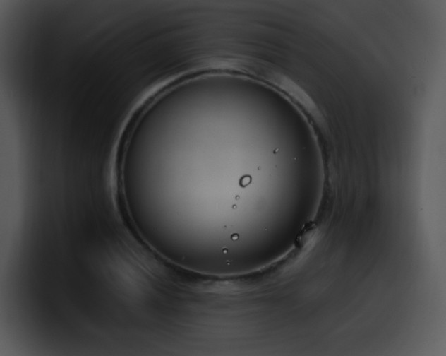 X0000100411028200806061337