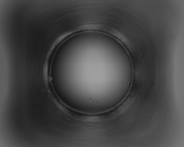 X0000100411030200806061337