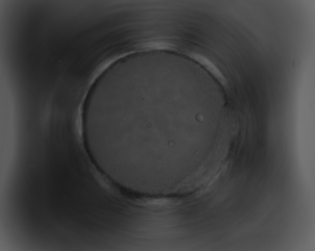 X0000100411031200806061337