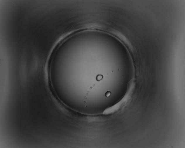 X0000100411032200806061337