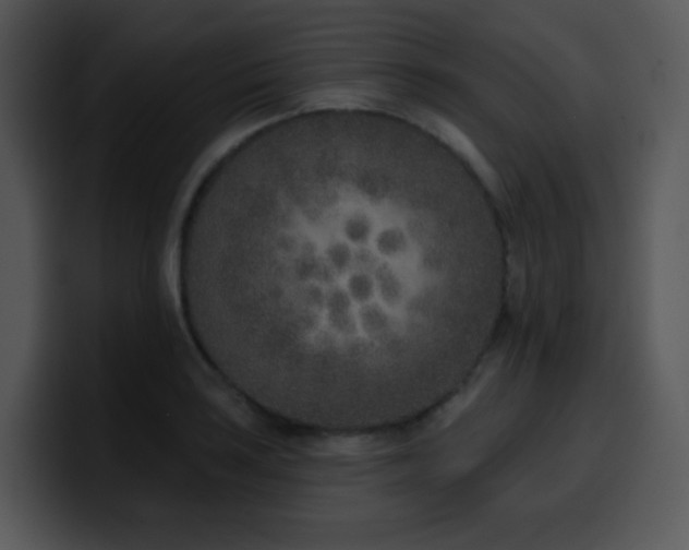 X0000100411035200806061337