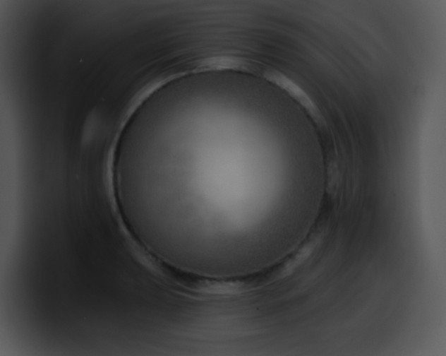 X0000100411039200806061337