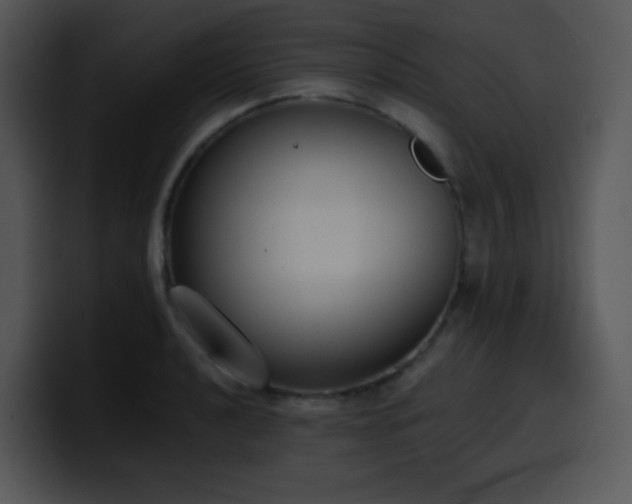 X0000100411040200806061337