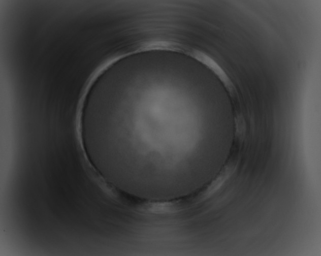 X0000100411043200806061337