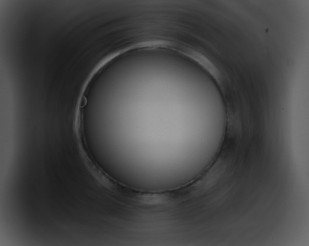 X0000100411044200806061337